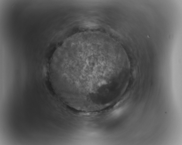 X0000089701397200707051635