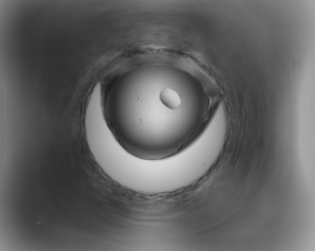 X0000089701398200707051635