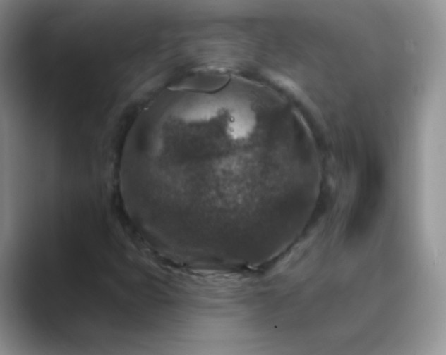 X0000089701399200707051635