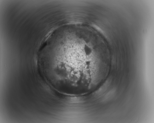 X0000089701401200707051635