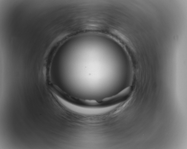 X0000089701402200707051635