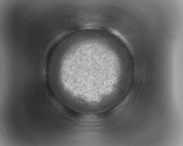 X0000089701403200707051635