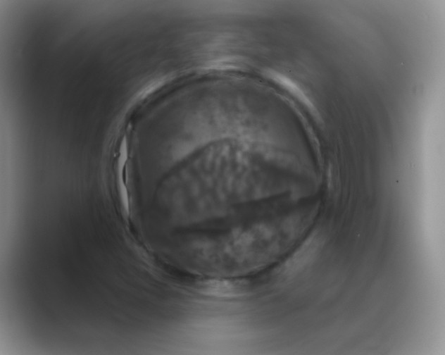 X0000089701405200707051635