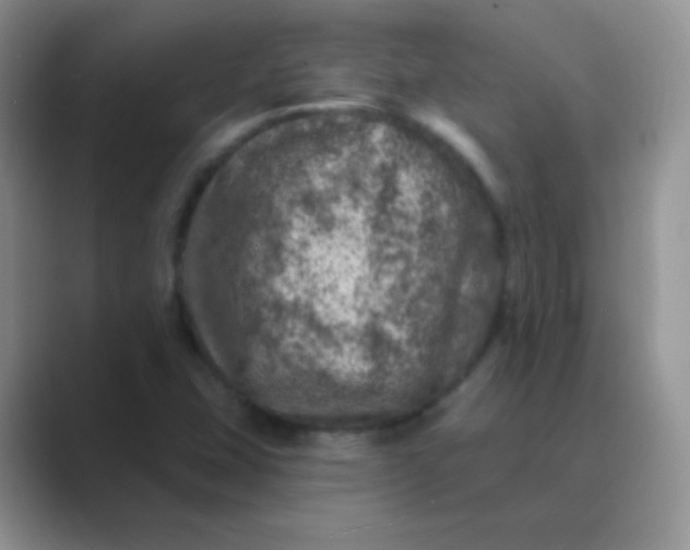 X0000089701407200707051635