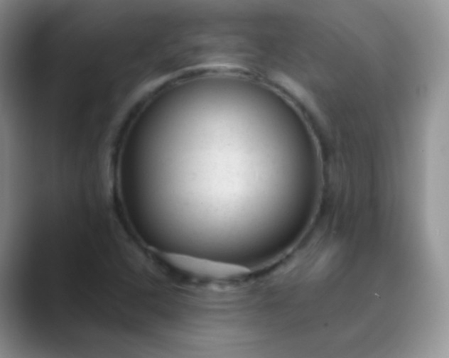 X0000089701408200707051635