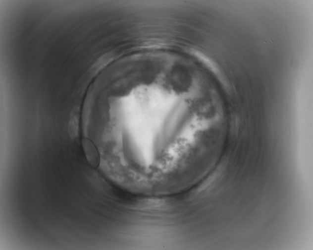 X0000089701409200707051635