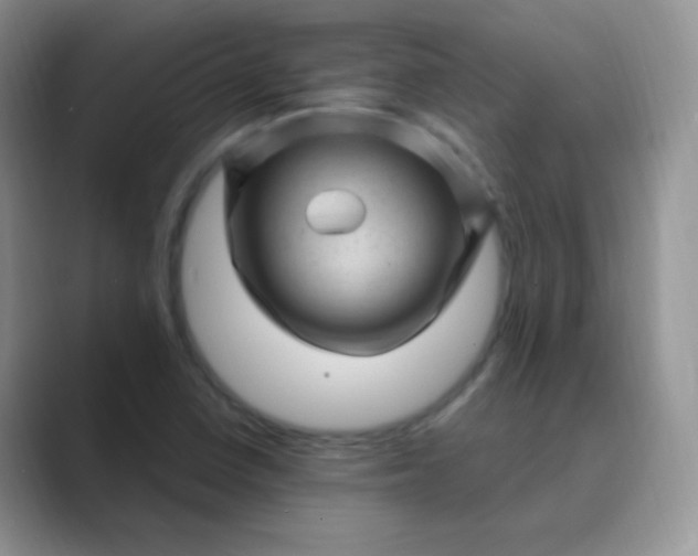 X0000089701410200707051635