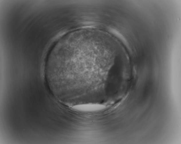 X0000089701411200707051635