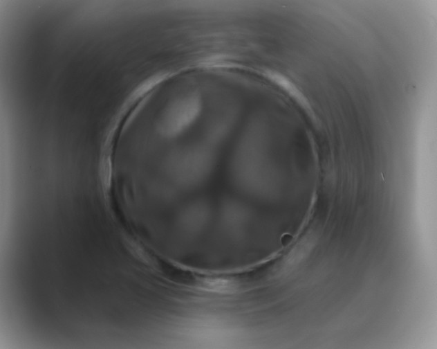 X0000089701413200707051635