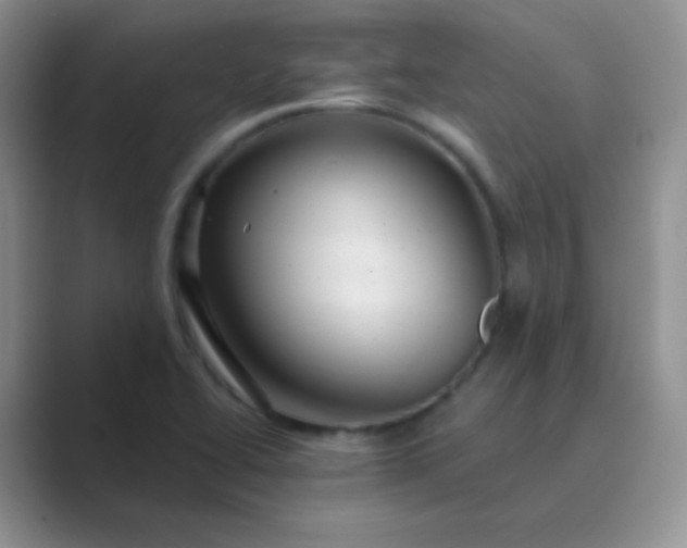 X0000089701414200707051635