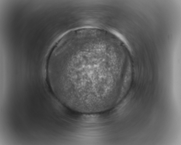 X0000089701415200707051635