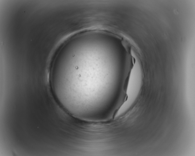 X0000089701416200707051635