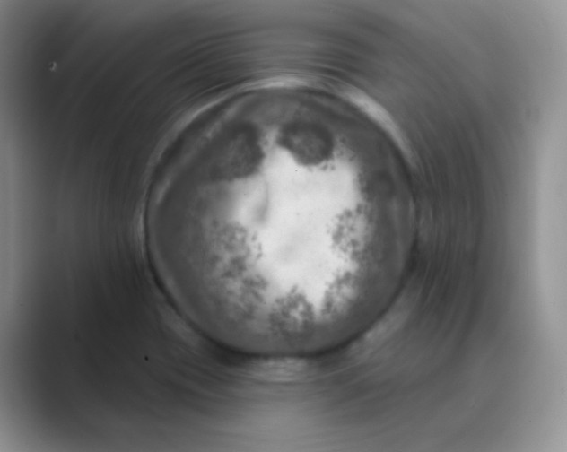 X0000089701417200707051635