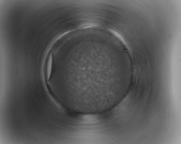 X0000089701418200707051635