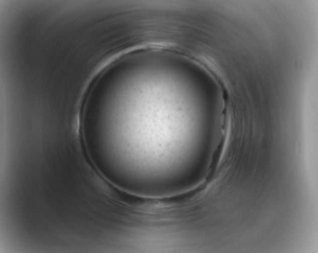 X0000089701420200707051635