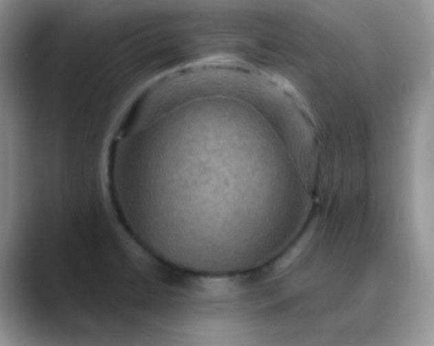 X0000089701422200707051635