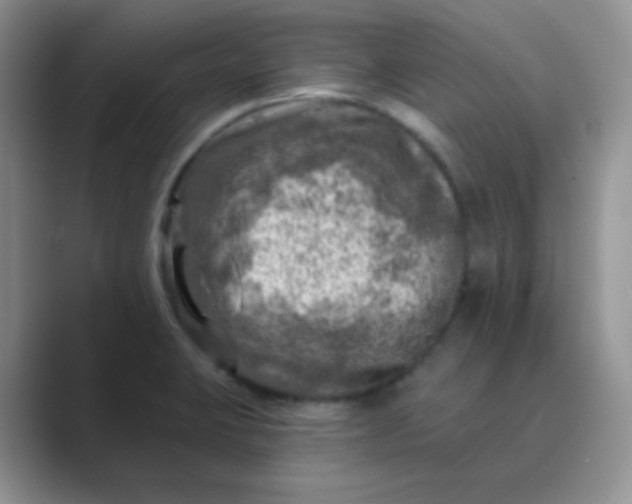 X0000089701423200707051635