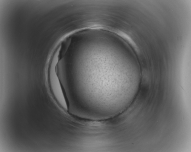 X0000089701424200707051635