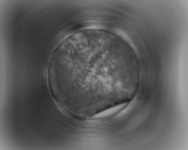 X0000089701425200707051635