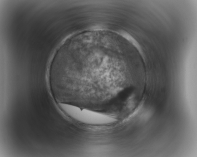 X0000089701429200707051635