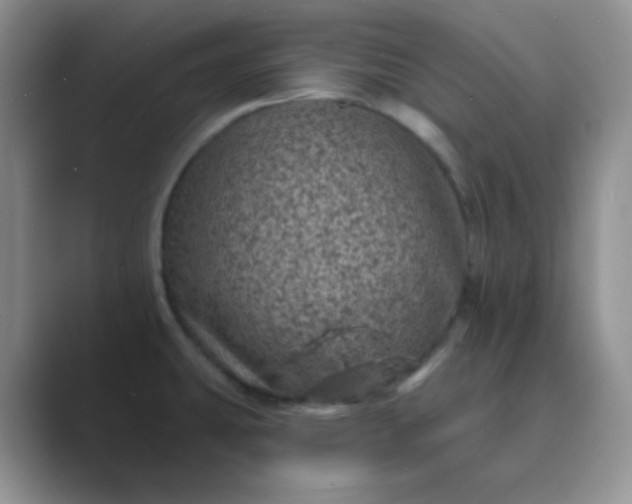 X0000089701431200707051635