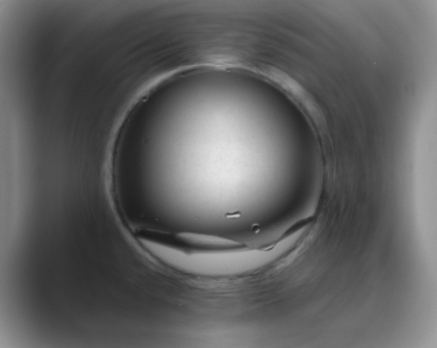 X0000089701432200707051635