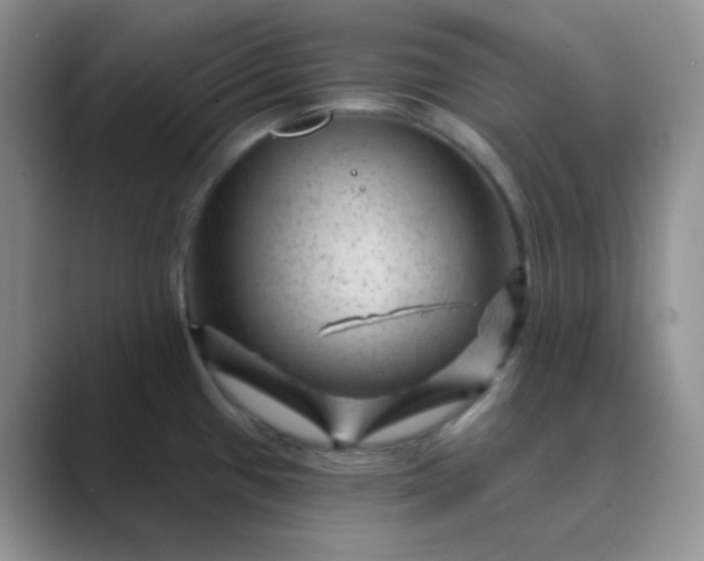 X0000089701433200707051635