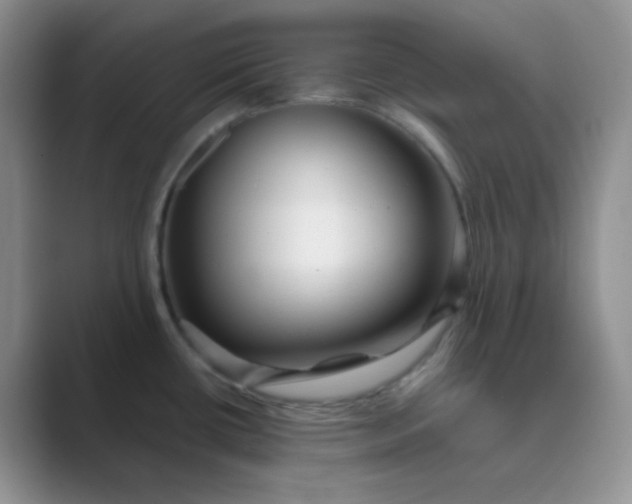 X0000089701434200707051635