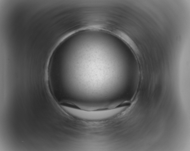 X0000089701436200707051635