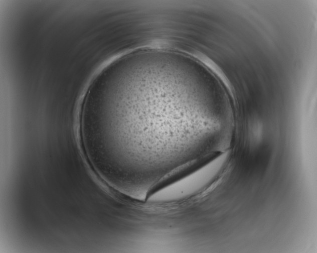 X0000089701437200707051635