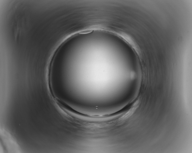 X0000089701438200707051635