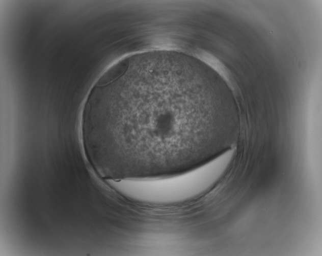 X0000089701439200707051635