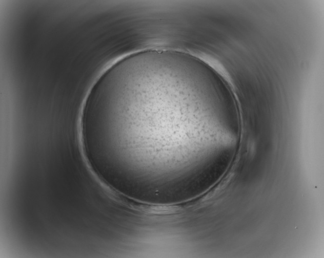 X0000089701440200707051635