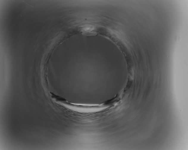 X0000089701441200707051635