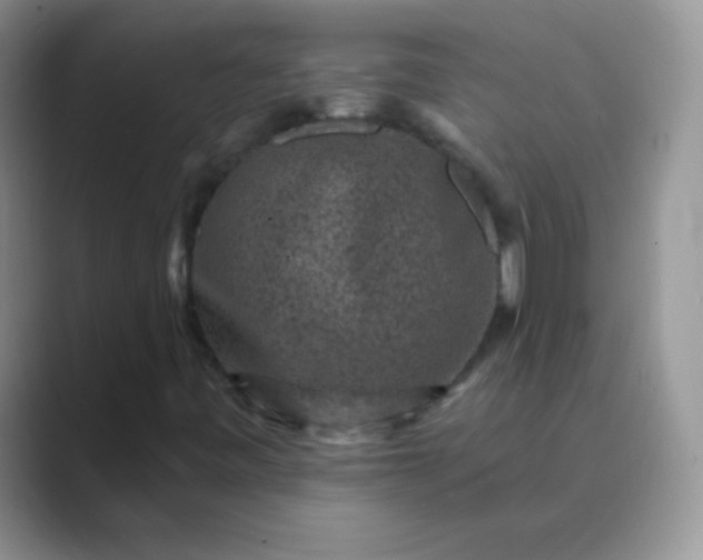 X0000089701443200707051635