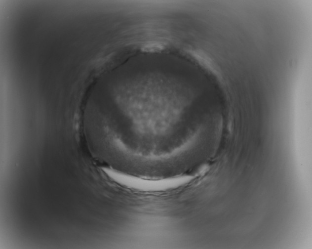 X0000089701445200707051635