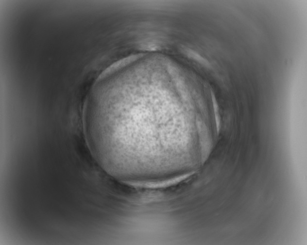 X0000089701446200707051635