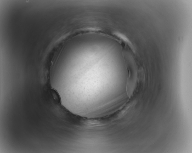 X0000089701448200707051635