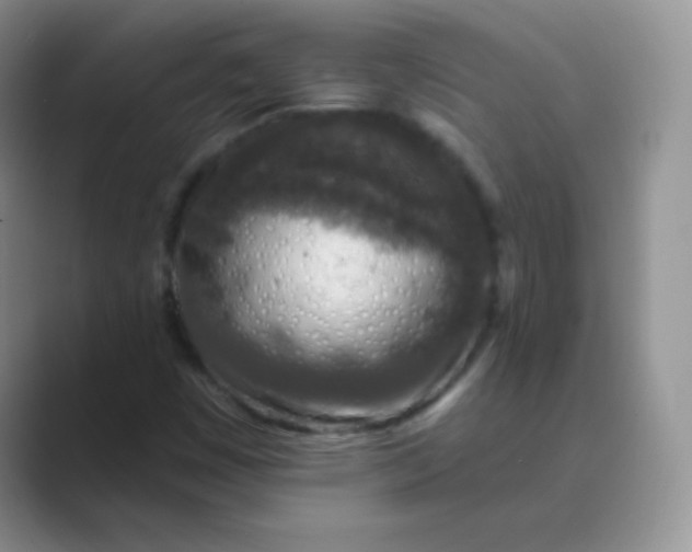 X0000089701449200707051635