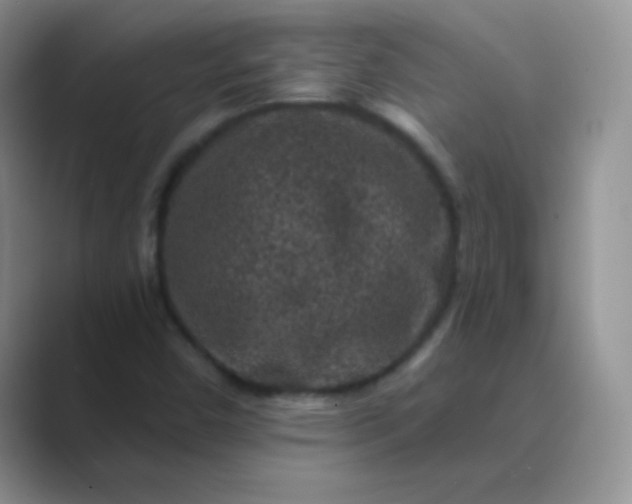 X0000089701450200707051635