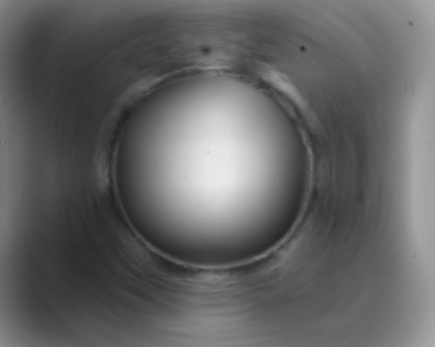 X0000089701451200707051635