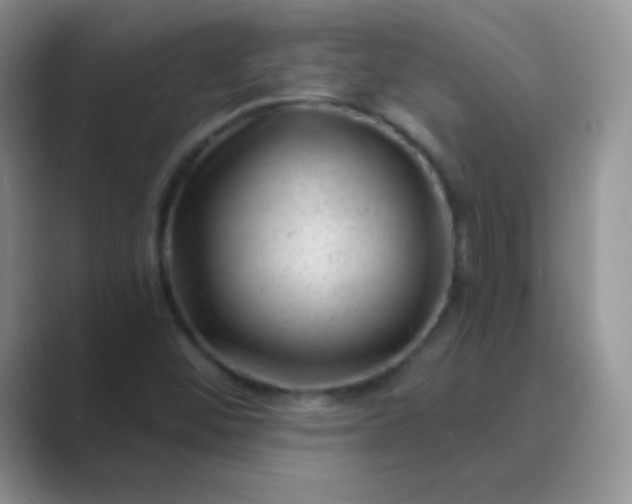 X0000089701452200707051635