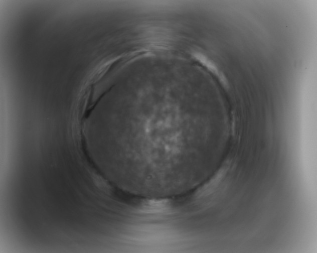 X0000089701453200707051635