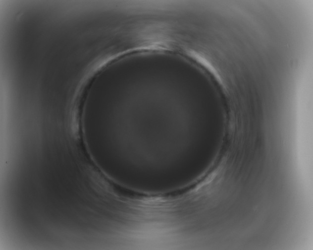 X0000089701455200707051635