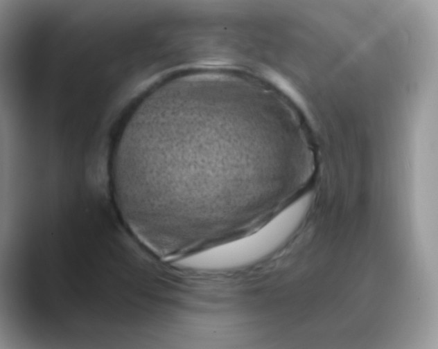 X0000089701456200707051635