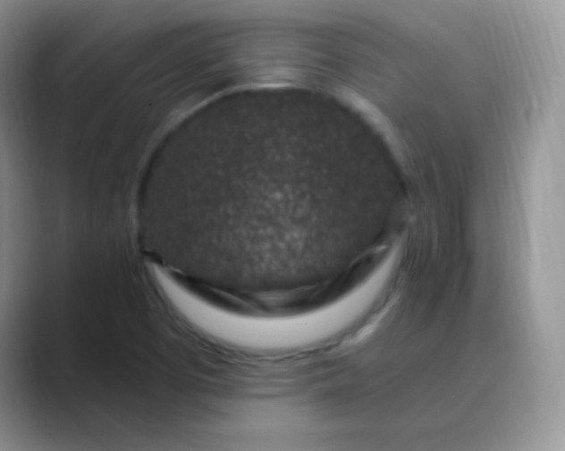 X0000089701457200707051635