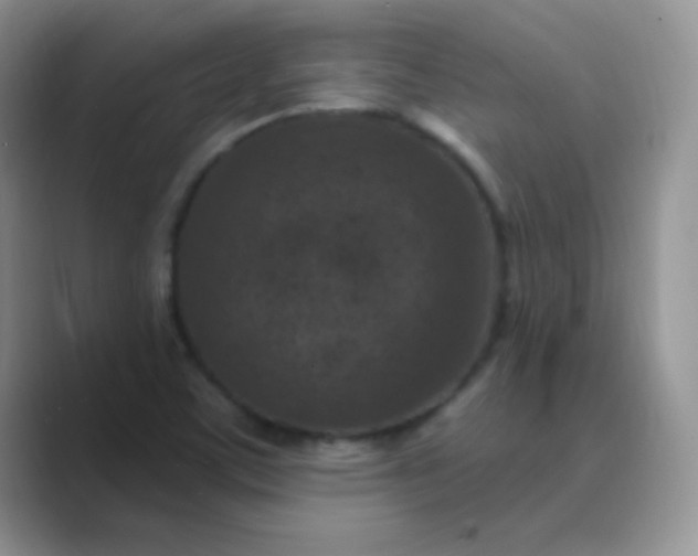 X0000089701459200707051635