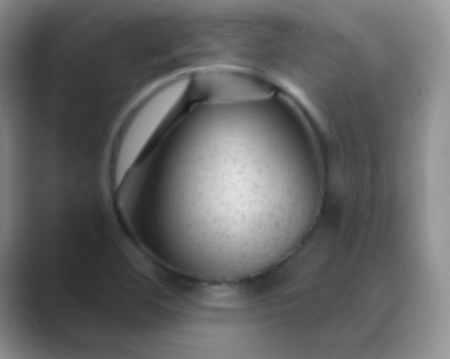 X0000089701460200707051635