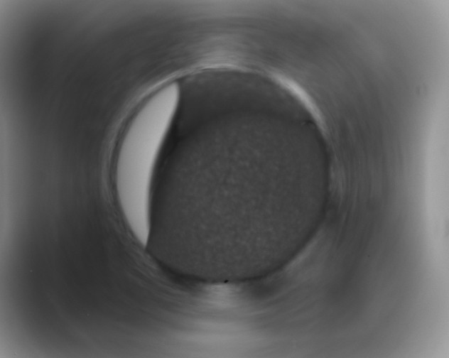 X0000089701461200707051635