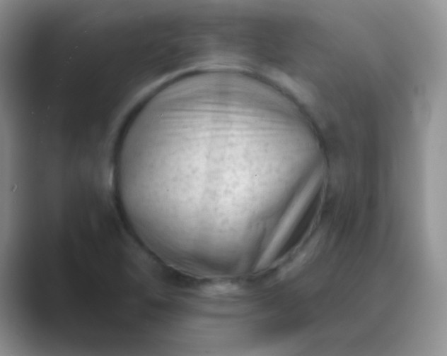 X0000089701462200707051635